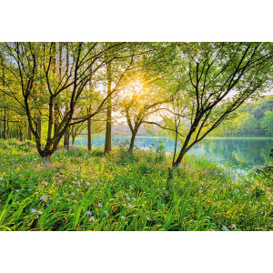 Фотообои бумажные Komar Spring Lake (Весеннее озеро NG) 368х254 см (8-524) лучшая модель в Ивано-Франковске