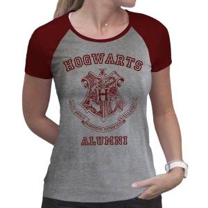 Футболка ABYstyle Harry Potter XL Сіра (ABYTEX503XL) ТОП в Івано-Франківську