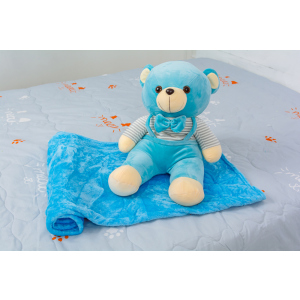 Плед детский MirSon №1052 Bear Blue 100х160 (2200003094039) ТОП в Ивано-Франковске