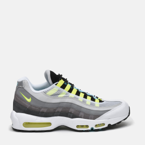 Кросівки Nike Air Max 95 CJ0589-001 40.5 (8) 26 см (193659394849)