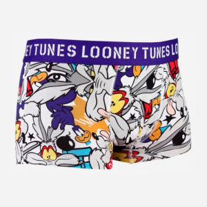 Труси-шорти Looney Tunes Bleu Coyote 1 Paires 30890453-2 L Сірі з синім (3349610001791)