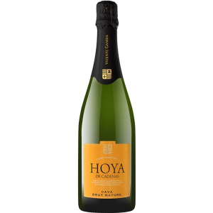 Вино игристое Hoya de Cadenas Cava Brut Nature белое брют 0.75 л 11.5% (8410310605994) лучшая модель в Ивано-Франковске