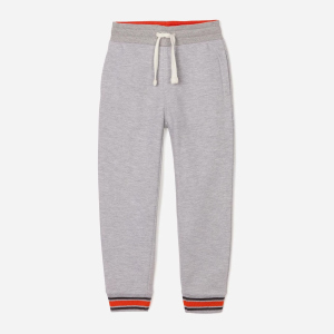 Спортивні штани утеплені Zippy Fleece Pants Nine 3103310001 118 см Lightgrey4 (5602156886894) краща модель в Івано-Франківську