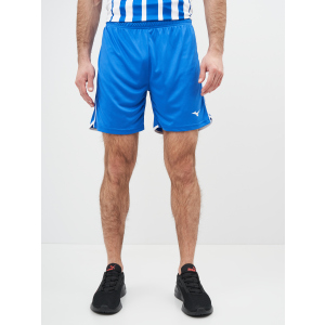 Спортивні шорти Mizuno High-Kyu Short V2EB700122 3XL Сині (5054698344972)