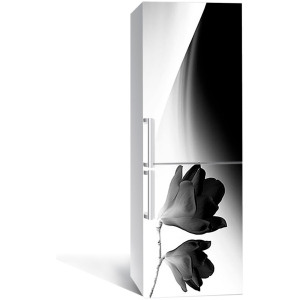 Виниловая 3D наклейка на холодильник Zatarga Минимализм и магнолия 650х2000 мм (Z180948re) лучшая модель в Ивано-Франковске