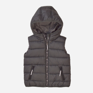 Жилет Minoti 7BGILET 9 34601JNR 110-116 см Темно-серый (5059030593988) ТОП в Ивано-Франковске