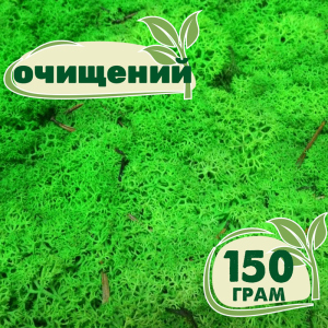 Очищений стабілізований мох ягель Nordic moss Зелений трав'яний світлий 150 грам ТОП в Івано-Франківську