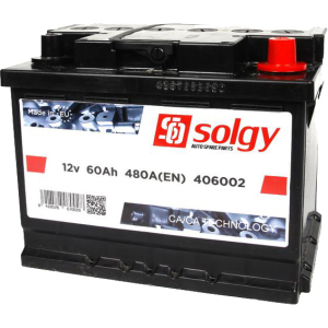 Автомобильный аккумулятор Solgy 60Ah/480A (242x175x190/+R) (406002) рейтинг