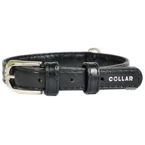 Ошейник для собак кожаный Collar WAUDOG Glamour с QR паспортом, без украшений, S, Ш 20 мм, Дл 30-39 см (32931) ТОП в Ивано-Франковске