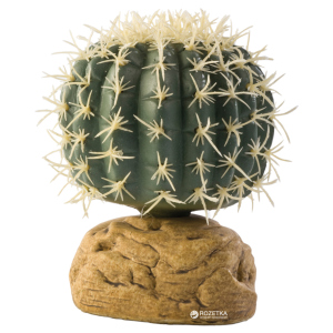 Растение Hagen Barrel Cactus Small (015561229807) ТОП в Ивано-Франковске