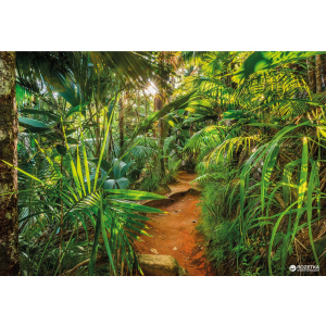 Фотообои бумажные Komar Jungle Trail 368х254 см 8 сегментов (8-989) в Ивано-Франковске