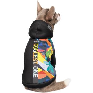 Толстовка Pet Fashion "THE COOLEST" для собак розмір M2, Багатокольорова (4823082420353)