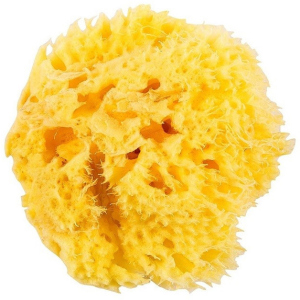 Натуральна морська губка Ok Baby Honeycomb Sea Sponge розмір 12 (38471200) в Івано-Франківську