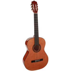 Гитара классическая Salvador Cortez SC-144 (17-2-39-12) ТОП в Ивано-Франковске