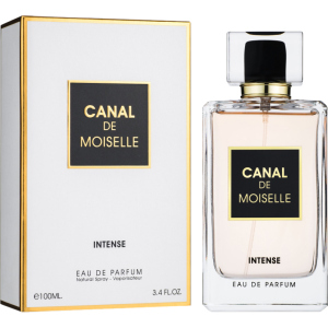 купить Парфюмированная вода для женщин Fragrance World Canal De Moiselle Intense аналог Chanel Coco Mademoiselle Intense 100 мл (6291106487794)