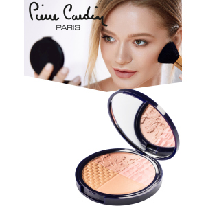 Рум'яна та хайлайтер для обличчя Pierre Cardin Selfie ready powder Портофіно 010 11 мл (8680570441131) краща модель в Івано-Франківську